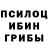 Галлюциногенные грибы Psilocybe ahumblepoet