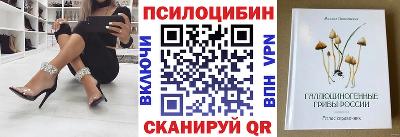 omg зеркало  магазин    Дивногорск  Галлюциногенные грибы MAGIC MUSHROOMS 