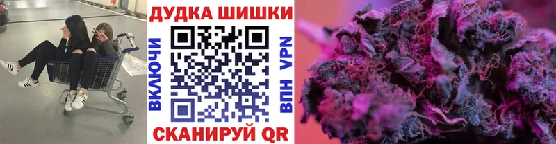 где купить наркоту  omg ONION  Шишки марихуана планчик  Дивногорск 